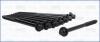 Комплект болтов ГБЦ MITSUBISHI OUTLANDER (II,III), PAJERO SPORT III 3.0i (8шт) AJUSA 81056600 (фото 1)