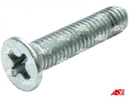 Болт з хрестовидним шліцом з чорного металу AS-PL ARS0024 (фото 1)