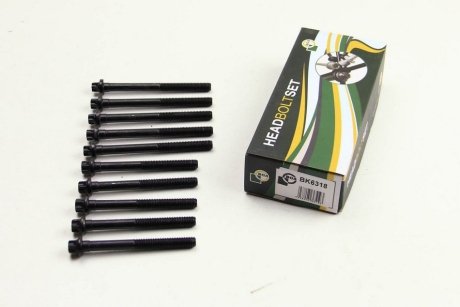 Комплект болтов с головкой системы TORX из черного металла BGA BK6318