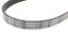 Ремінь генератора поліклиновий BLUE PRINT AD05R915 (фото 4)