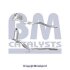 Сажовий фільтр BM CATALYSTS BM11150 (фото 1)