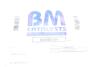 Сажевый фильтр BM CATALYSTS BM80518H (фото 2)