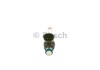 Форсунка бензин NISSAN/RENAULT Juke/X-Trail/Meagne \'\'1.6DIG-T\'\'10-22 BOSCH 0261500210 (фото 1)