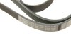 Ремень поликлиновый(приводной) 6PK1840 BOSCH 1 987 947 984 (фото 5)