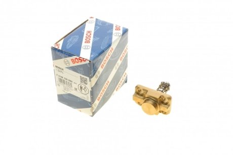 Плунжерна пара BOSCH F 01M 100 869