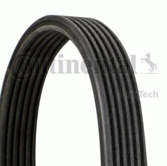 Доріжковий пас Contitech 6DPK1225
