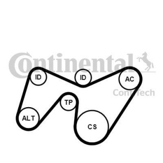 Комплект (ремень+ролики) Contitech 6PK1642K2