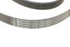 Ремень поликлиновый Nissan X-Trail 2,0i 2,5i 01&gt;08, 2,0i 08&gt; Contitech 6PK2245 (фото 3)