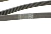 Ремень поликлиновый Nissan X-Trail 2,0i 2,5i 01&gt;08, 2,0i 08&gt; Contitech 6PK2245 (фото 4)