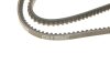 Ремень генератора клиновый DAYCO 10A1200C (фото 4)