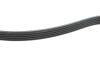 Ремень поликлиновый(приводной) DAYCO 5PK1572 (фото 3)