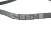 Ремень поликлиновый(приводной) DAYCO 5PK1572 (фото 4)