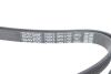 Ремень поликлиновый(приводной) DAYCO 5PK1790 (фото 4)
