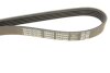 Ремень поликлиновый(приводной) DAYCO 5PK990 (фото 5)