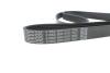 Ремень поликлиновый(приводной) DAYCO 6PK1570 (фото 4)
