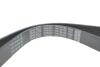 Ремень поликлиновый(приводной) DAYCO 7PK1051EE (фото 4)