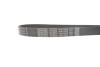 Ремень поликлиновый(приводной) DAYCO 7PK1334S (фото 3)