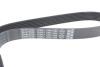 Ремень поликлиновый(приводной) DAYCO 7PK1784 (фото 3)