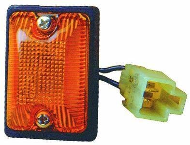 Ліхтар бокового повороту DEPO 2121411NA