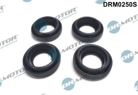 Комплект резиновых прокладок. DR.MOTOR DRM0250S