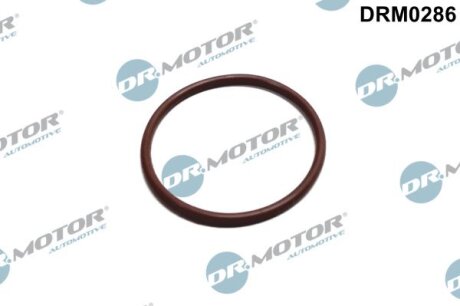 Прокладка гумова DR.MOTOR DRM0286