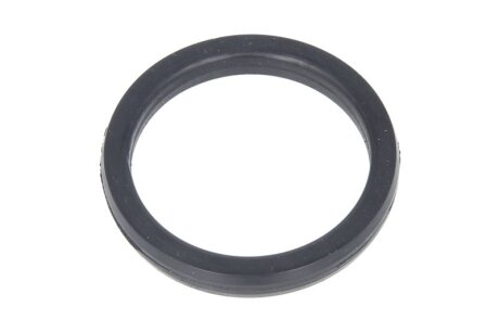 Сальник DT 2.10520