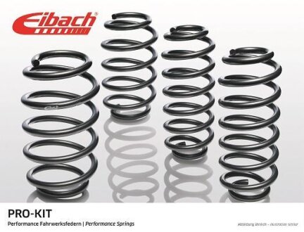 Занижена пружина EIBACH E2517140