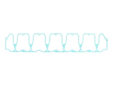 Прокладка клапанної кришки ELRING 153.770