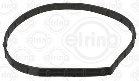 Прокладка водяної помпи ELRING 558280