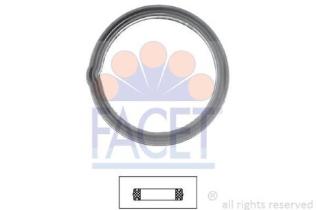 Прокладка термостата Hyundai i10, Getz/KIA Picanto (7.9608) FACET 79608