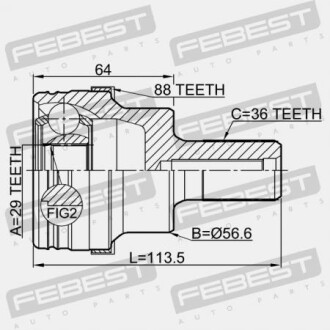 Шрус наружный задний 29x55.5x36 FEBEST 2110KUGA88R