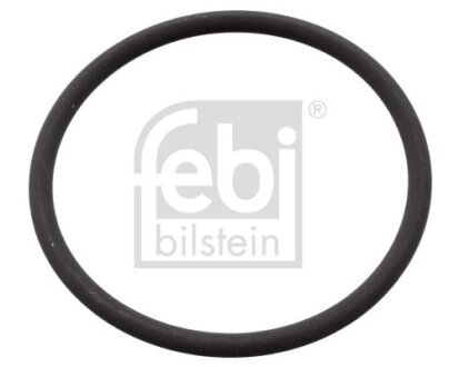 Елемент насосу Common Rail FEBI BILSTEIN 106582 (фото 1)
