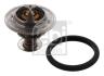 Термостат Master 3.0dCi 03-/Mascott 04-10 FEBI BILSTEIN 33493 (фото 1)