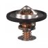 Термостат Master 3.0dCi 03-/Mascott 04-10 FEBI BILSTEIN 33493 (фото 4)