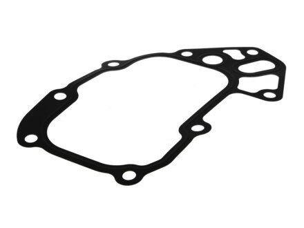 Прокладка масляного насоса Fiat/Alfa/Lancia 504089123