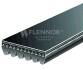Ремень поликлиновый Flennor 6PK1113 (фото 1)