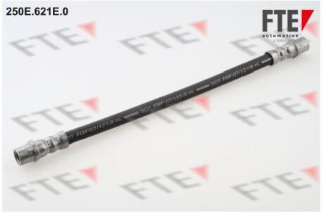 Шланг тормозной FTE 250E.621E.0