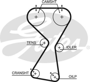 Ремень ГРМ с длиной круга более 60 см, но не более 150см Gates 5534XS