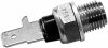 Датчик температури масла HELLA 6PT009107691 (фото 1)