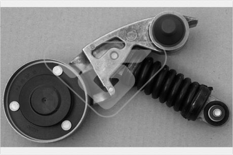 Ролик натяжний HUTCHINSON T4035