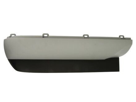 Накладки / молдинги кузова IVECO 504190699