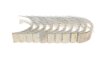 Вкладыши коренные MAHLE MAHLE / KNECHT 029 HS 18067 000 (фото 3)