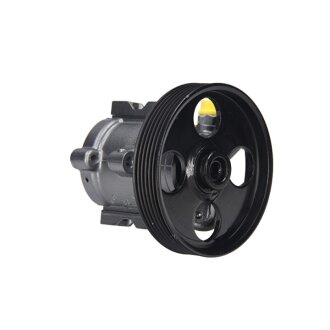 Насос гідропідсилювача 306 93-02 (відновлений з SAGINAW) MSG PE019R