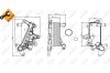 Охолоджувач мастила NRF 31357 (фото 1)