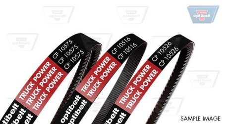 Клиновий ремінь генератора OPTIBELT CP10563