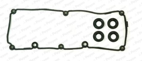 Елемент системи Common Rail Payen HM5395