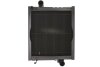 Радіатор двигуна THERMOTEC D7AG370TT (фото 1)