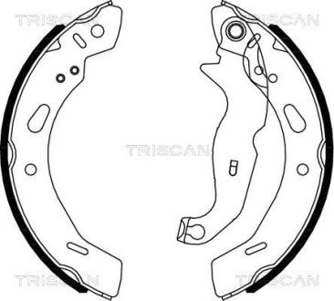 Комплект тормозных колодок TRISCAN 810016013