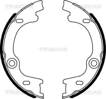 Комплект гальмівних колодок, Стоянкове гальмо TRISCAN 810018010