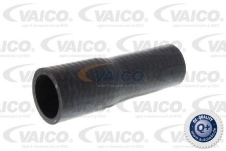 Шланг гумовий сист. охолоджен. VAICO V102805